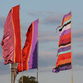 Womad Flags