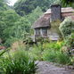 Dartington Gardens - photos ©Glyn Phillips