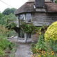 Dartington Gardens - photos ©Glyn Phillips
