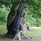 Dartington Gardens - photos ©Glyn Phillips
