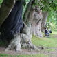 Dartington Gardens - photos ©Glyn Phillips